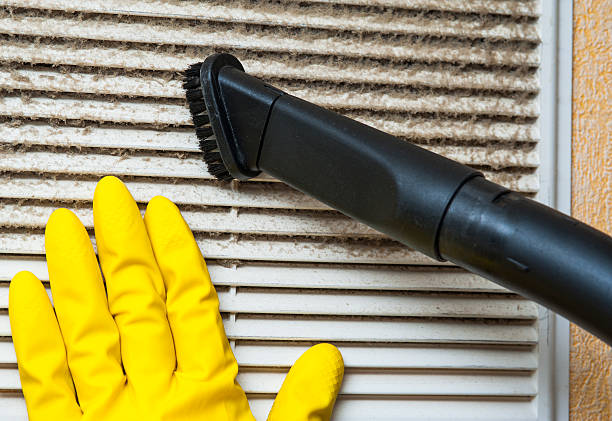 Air Duct Mold Removal in Park City, UT